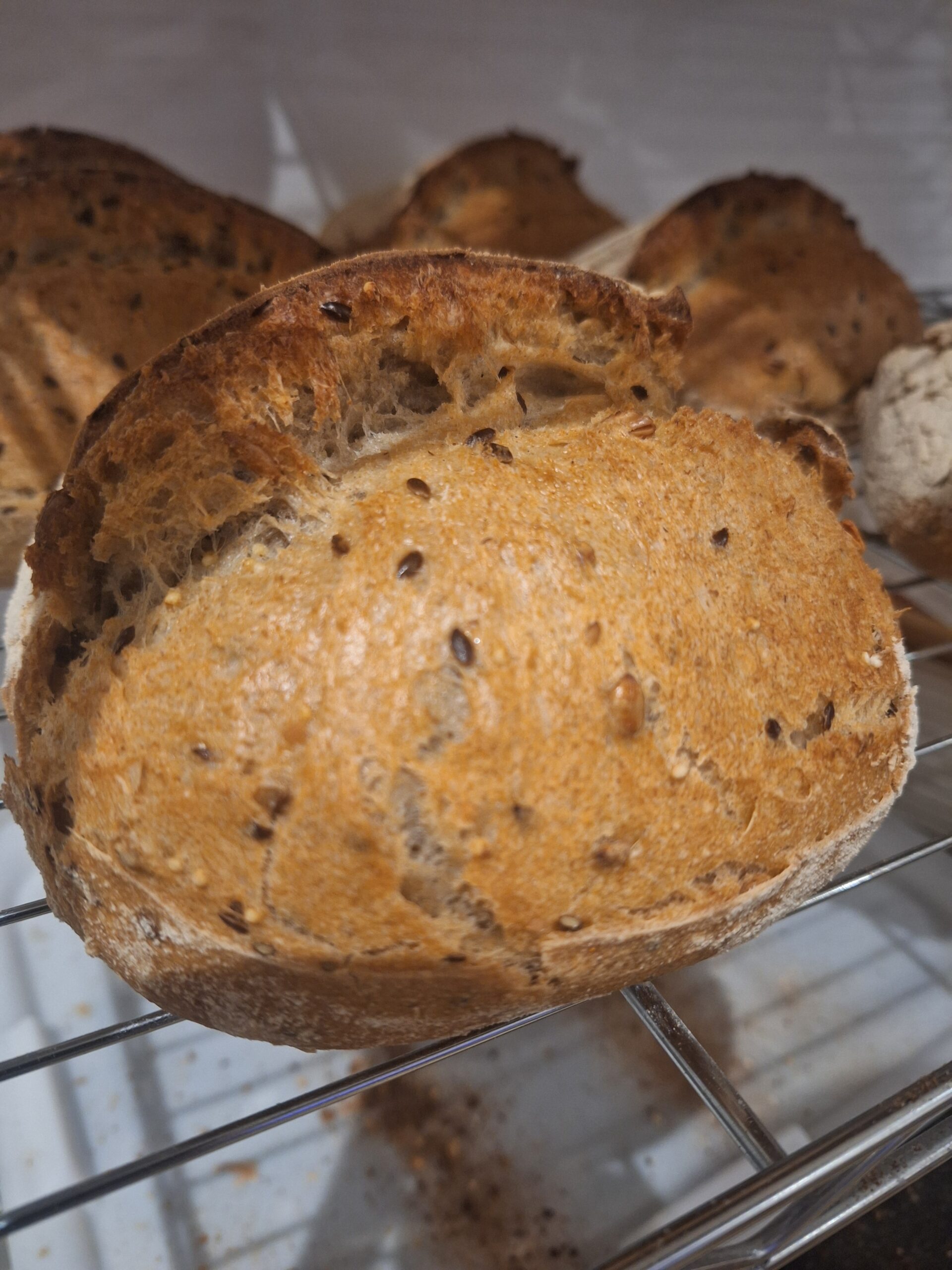 Campagne aux graines – Image 3